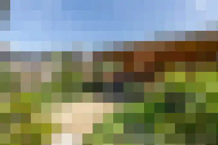 Majoorwerf 11 Zoutelande thumbnail 36