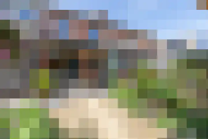 Majoorwerf 11 Zoutelande thumbnail 37