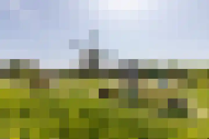 Majoorwerf 11 Zoutelande thumbnail 40