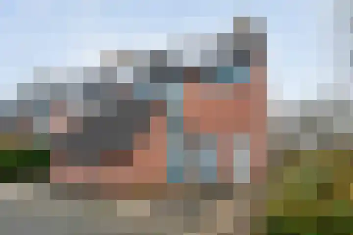 Majoraan 2 Raalte