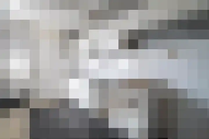 Majoraan 2 Raalte thumbnail 15