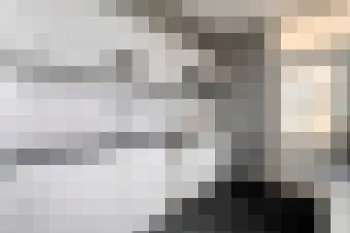 Majoraan 2 Raalte thumbnail 16