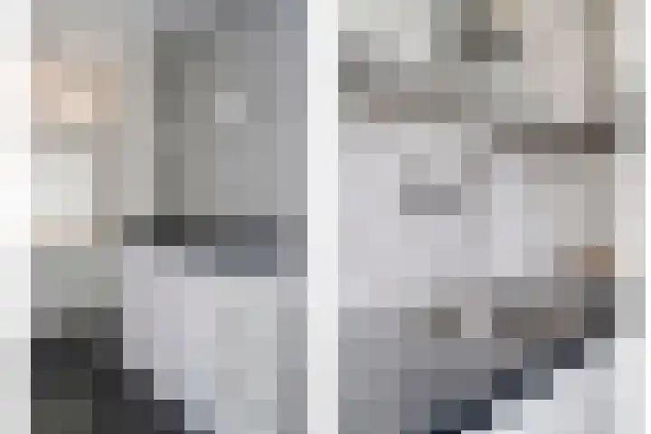 Majoraan 2 Raalte thumbnail 17