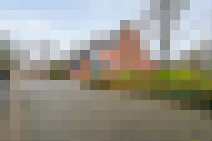 Majoraan 2 Raalte foto 3