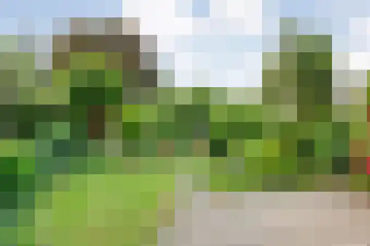 Majoraan 2 Raalte thumbnail 32
