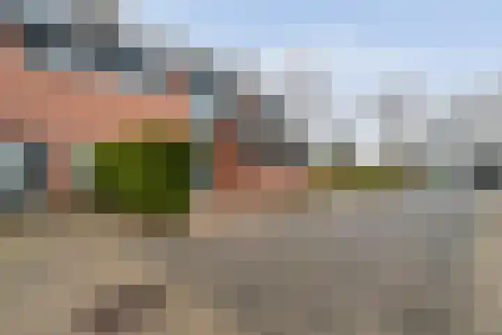 Majoraan 2 Raalte thumbnail 4