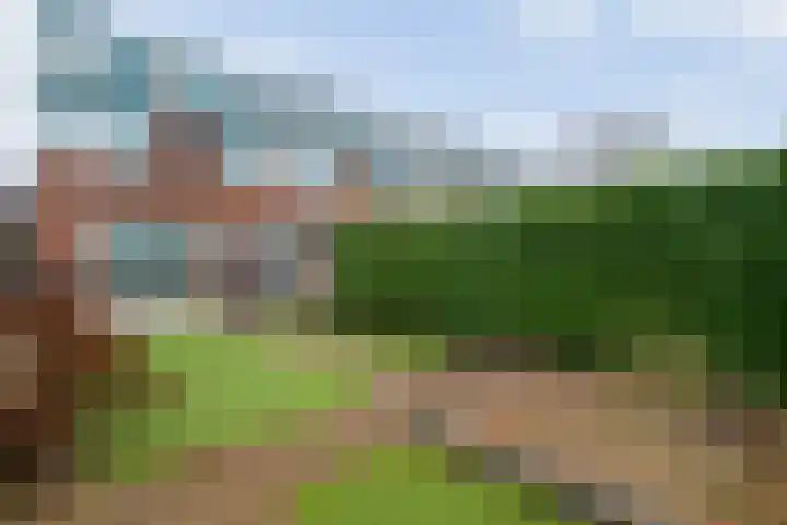 Majoraan 2 Raalte thumbnail 40