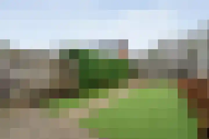 Majoraan 2 Raalte thumbnail 43