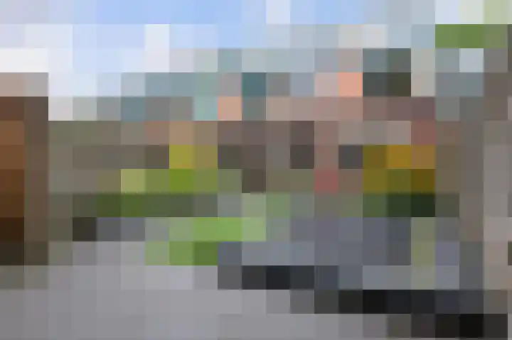 Majoraan 29 Raalte