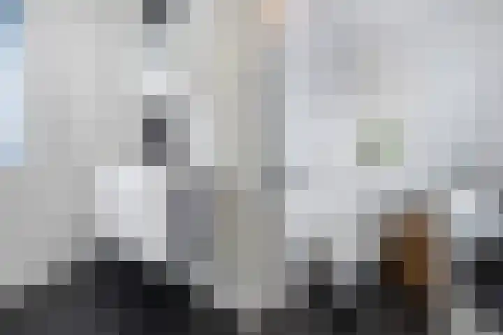 Majoraan 33 Dronten thumbnail 20