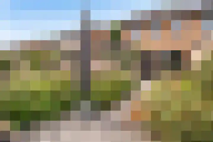 Majoraan 33 Dronten thumbnail 26