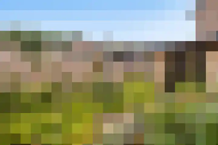 Majoraan 33 Dronten thumbnail 27