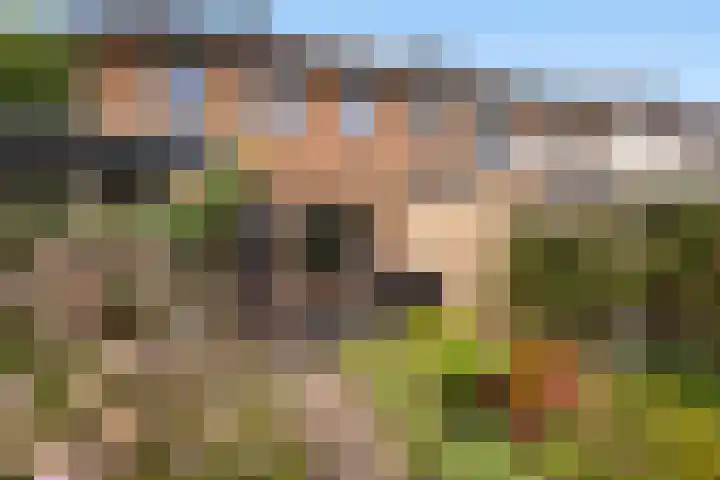 Majoraan 33 Dronten thumbnail 28