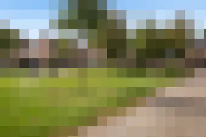 Majoraan 33 Dronten thumbnail 5