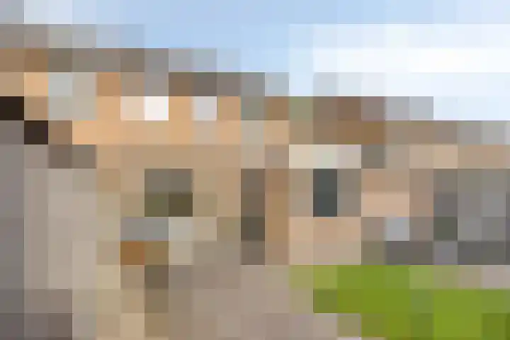 Majoraan 35 Dronten thumbnail 35