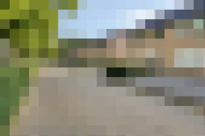 Majoraan 35 Dronten thumbnail 44