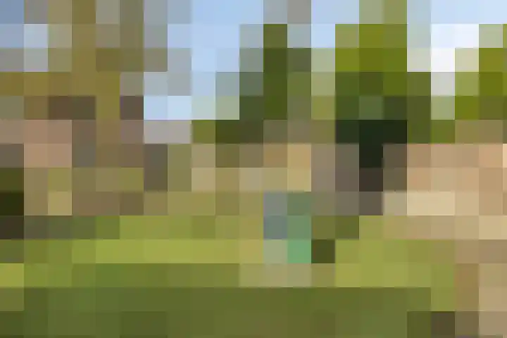 Majoraan 35 Dronten thumbnail 46