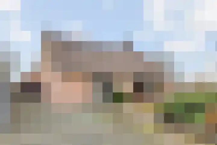 Majoraan 5 Raalte