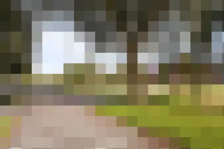 Makassarhof 66 Almere thumbnail 14