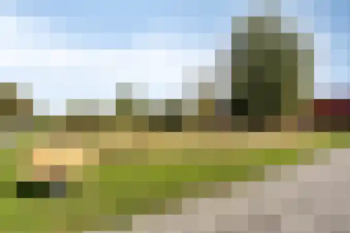 Makassarhof 66 Almere thumbnail 15