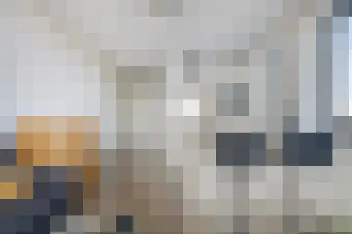 Makassarhof 66 Almere thumbnail 4