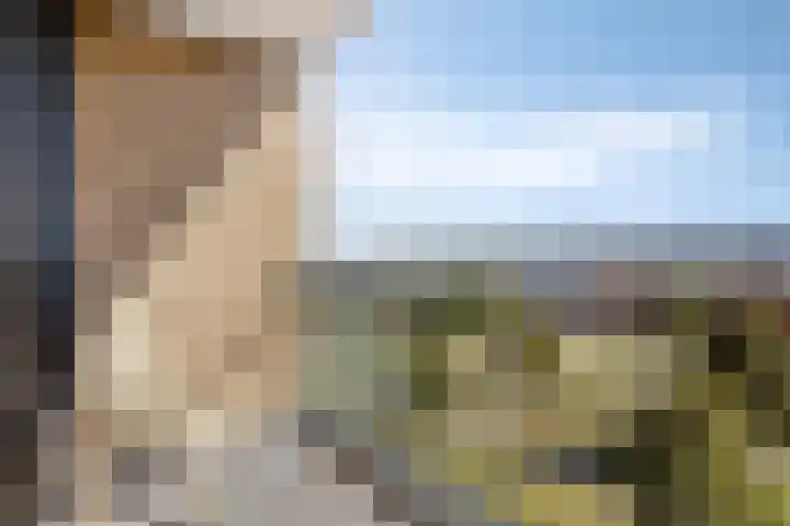Makassarhof 66 Almere thumbnail 6