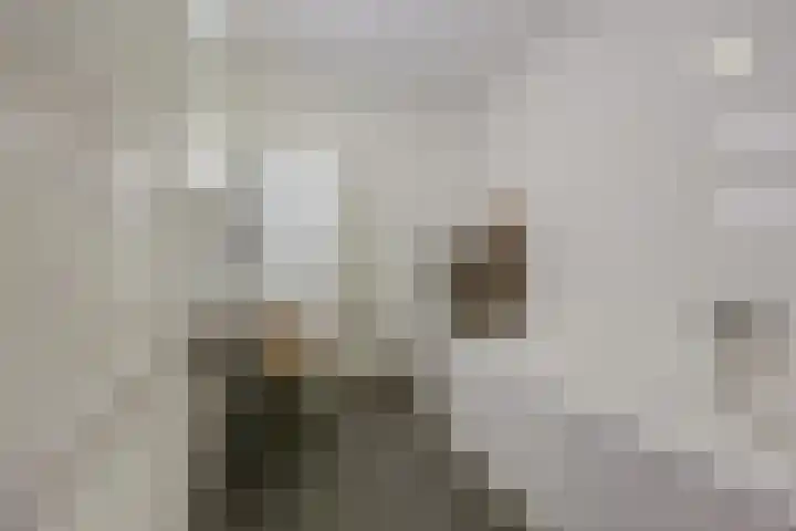Makassarweg 24 Almere thumbnail 24