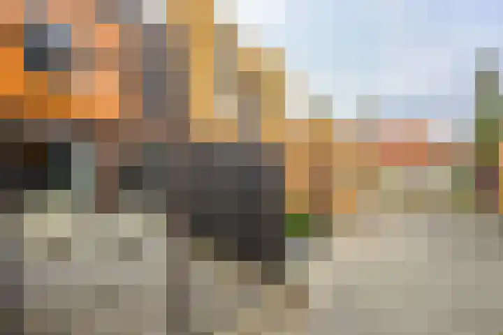 Makassarweg 24 Almere thumbnail 28