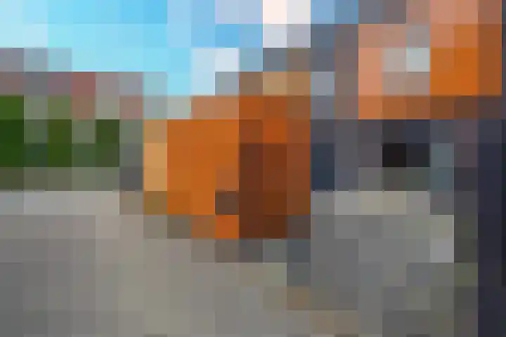 Makassarweg 24 Almere thumbnail 31