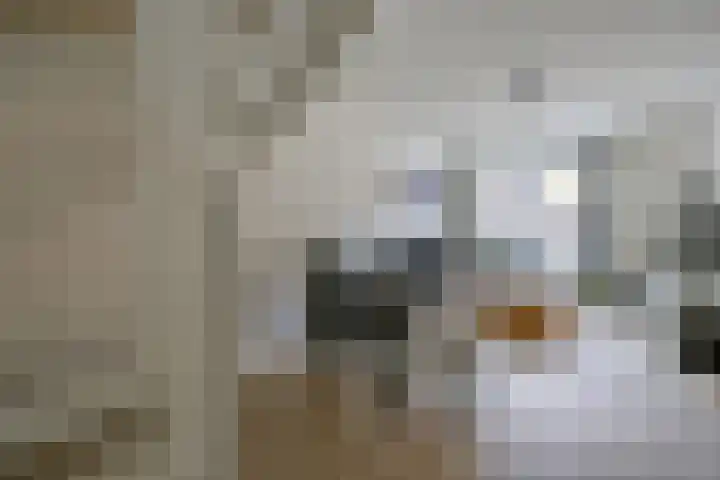Makassarweg 24 Almere thumbnail 8
