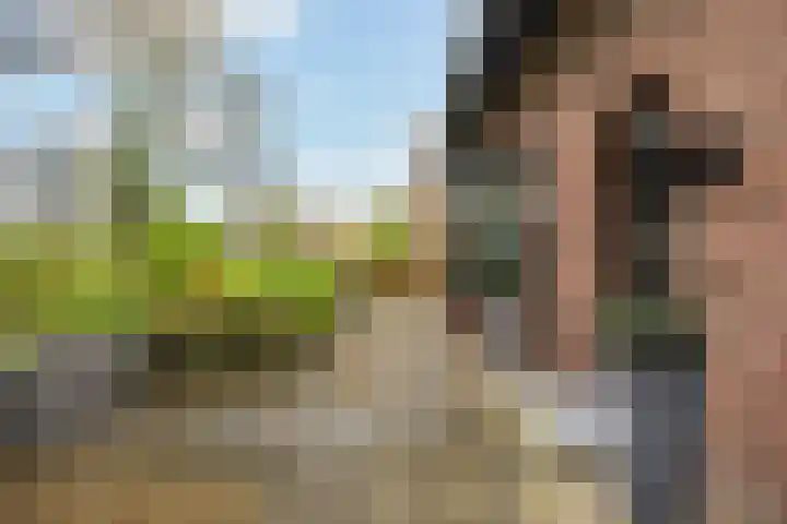 Logo Makelaarshuys AERTS