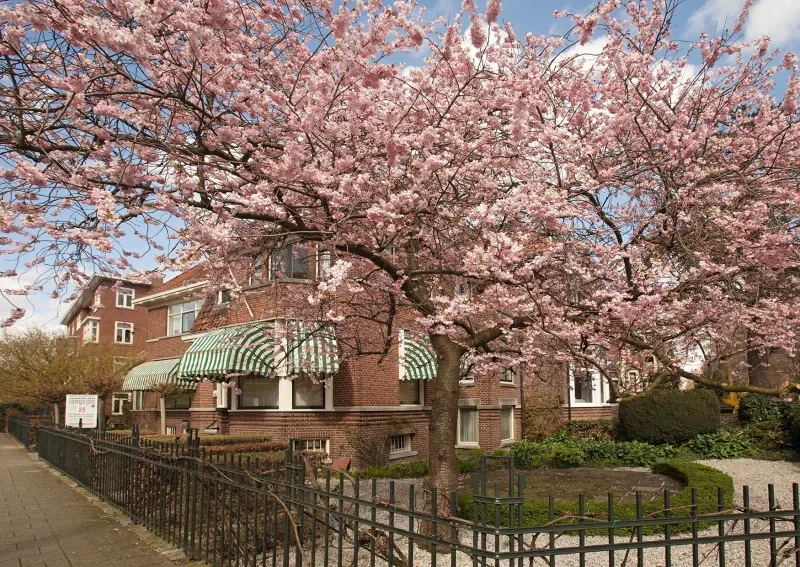 Kantoor foto van Makelaarskantoor Langejan