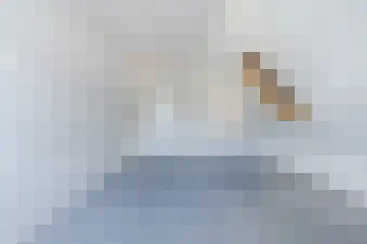 Malachietdreef 30 Emmen thumbnail 16