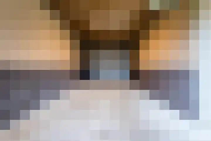 Malachietdreef 30 Emmen thumbnail 29