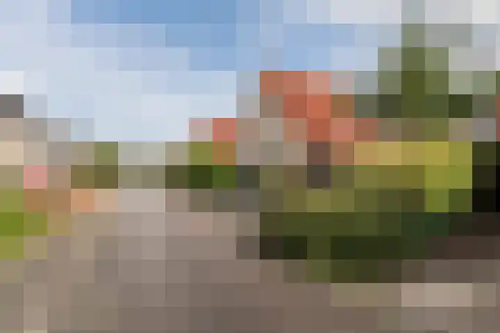 Malachietdreef 30 Emmen thumbnail 36