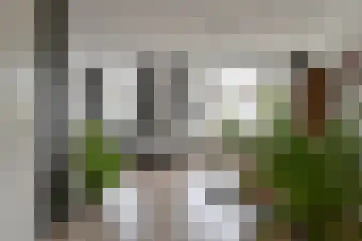 Malachietdreef 43 Emmen thumbnail 14