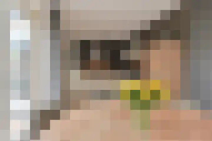Malachietdreef 43 Emmen thumbnail 23