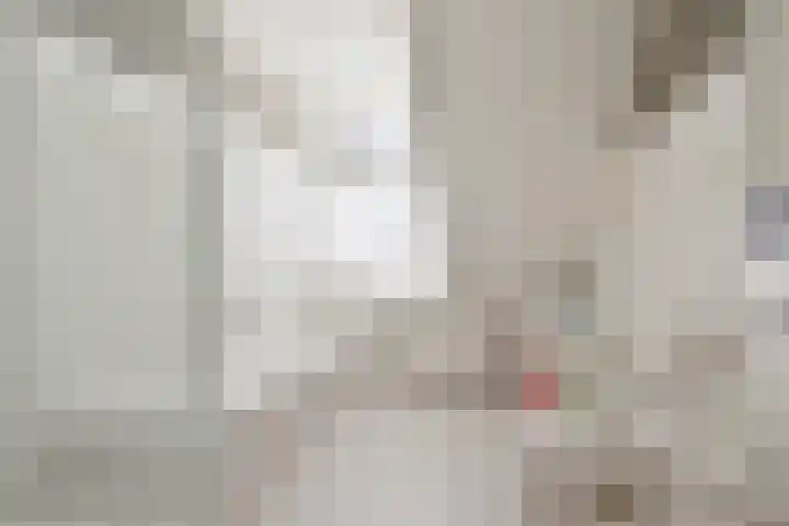 Malachietdreef 43 Emmen thumbnail 42
