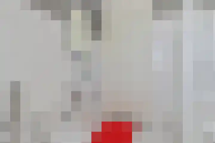 Malachietdreef 43 Emmen thumbnail 45