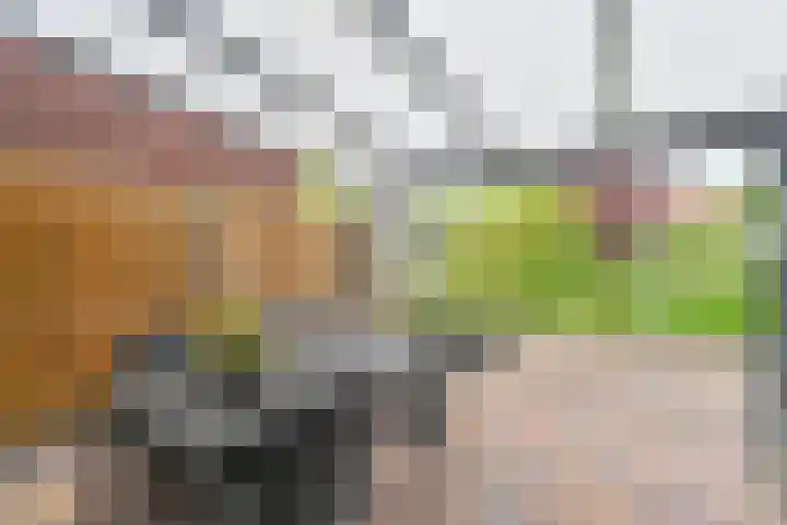 Malachietdreef 43 Emmen thumbnail 62