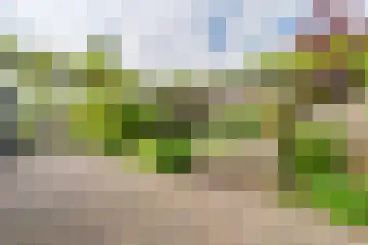 Malachietdreef 43 Emmen thumbnail 63