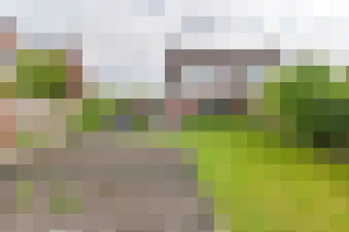 Malachietdreef 43 Emmen thumbnail 65
