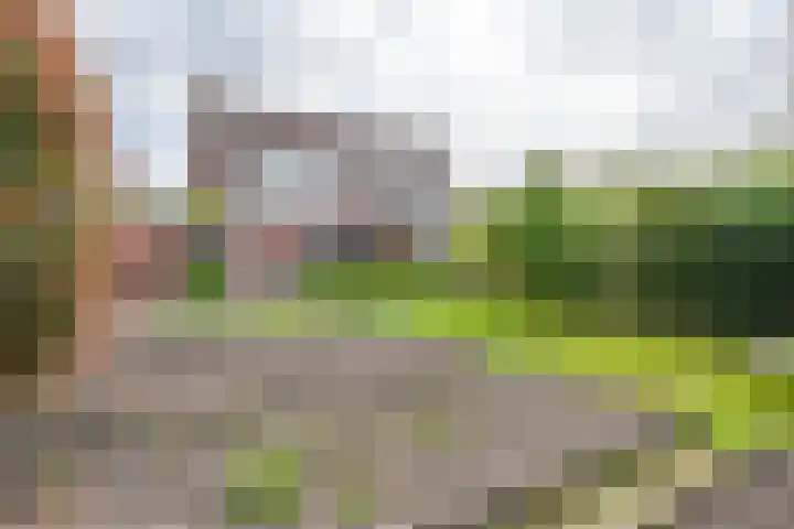 Malachietdreef 43 Emmen thumbnail 66