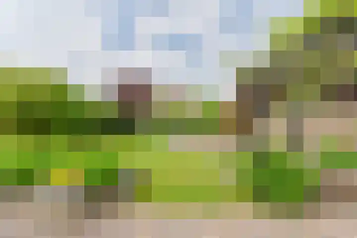 Malachietdreef 43 Emmen thumbnail 69