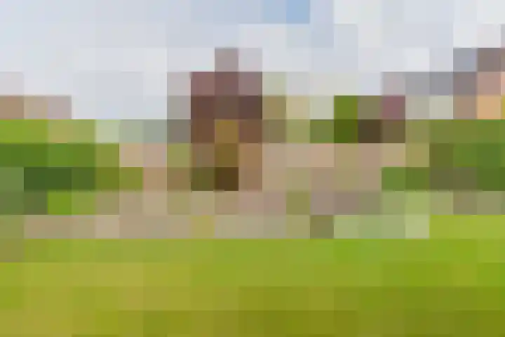 Malachietdreef 43 Emmen thumbnail 71