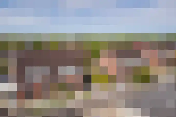 Malachietdreef 43 Emmen thumbnail 74