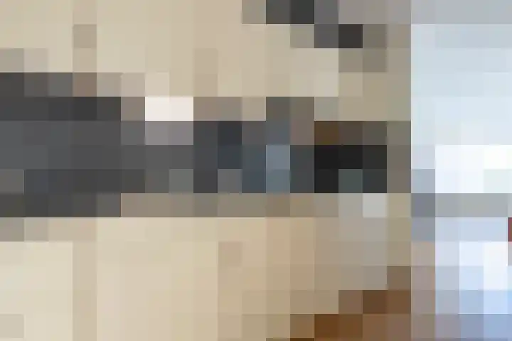 Malachietdreef 68 Emmen foto 2