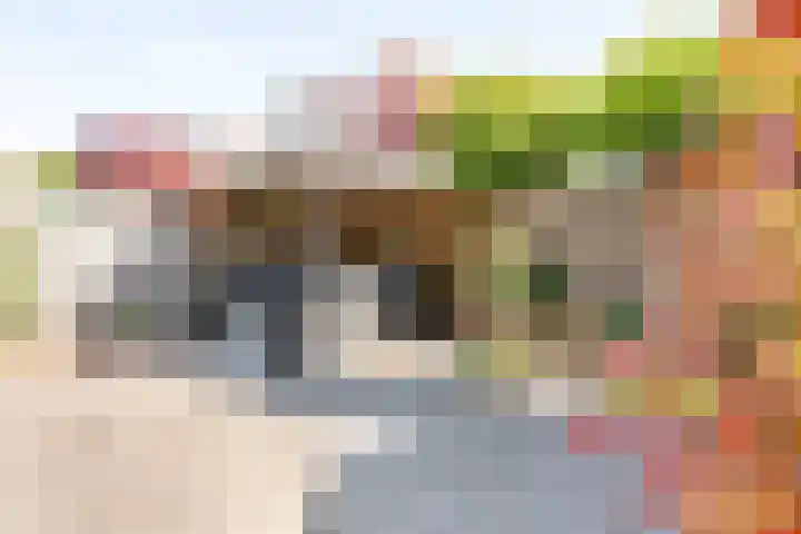 Malachietdreef 68 Emmen thumbnail 24