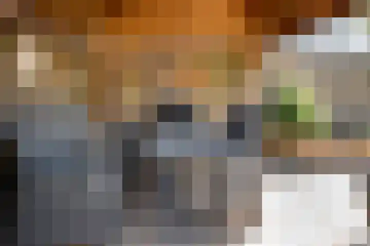 Malachietdreef 68 Emmen thumbnail 26