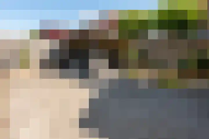 Malachietdreef 68 Emmen thumbnail 27